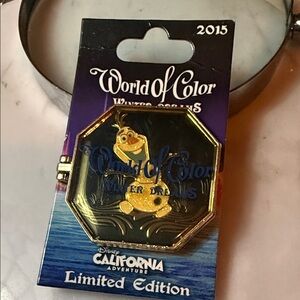 Disney World of Color Limited Edition Pin